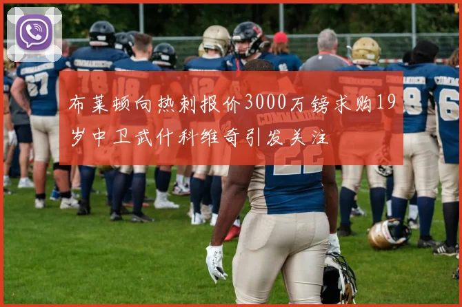 布莱顿向热刺报价3000万镑求购19岁中卫武什科维奇引发关注