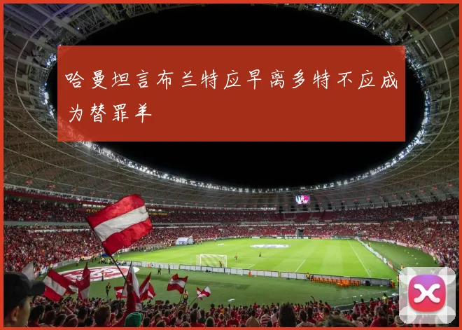 哈曼坦言布兰特应早离多特不应成为替罪羊